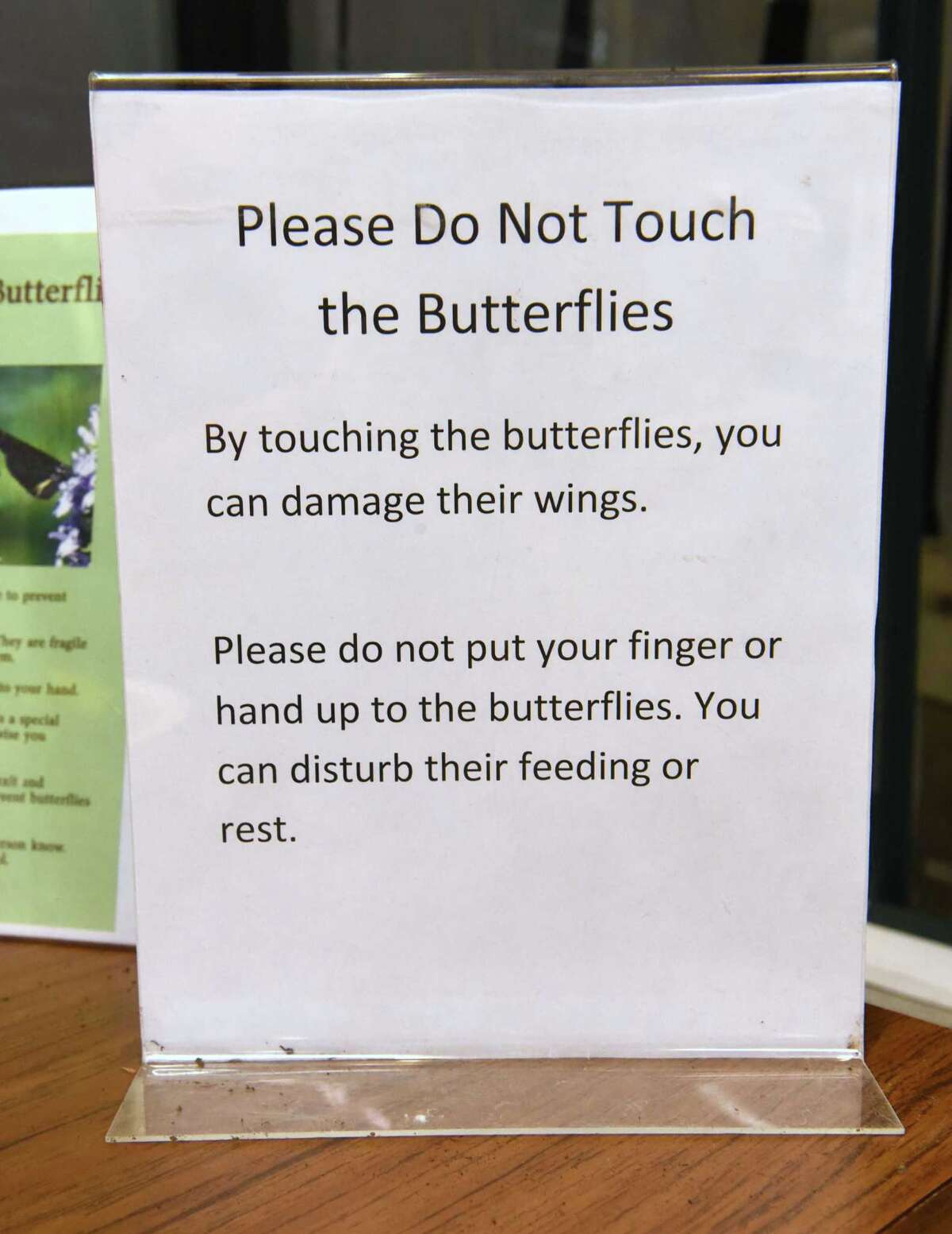 Photos Butterflies back at miSci