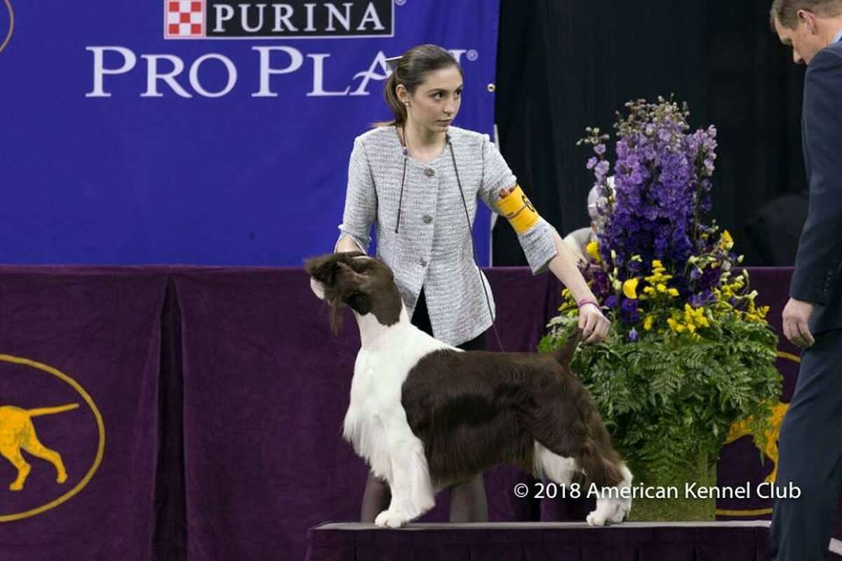 Sherman teen wins title in junior dog show