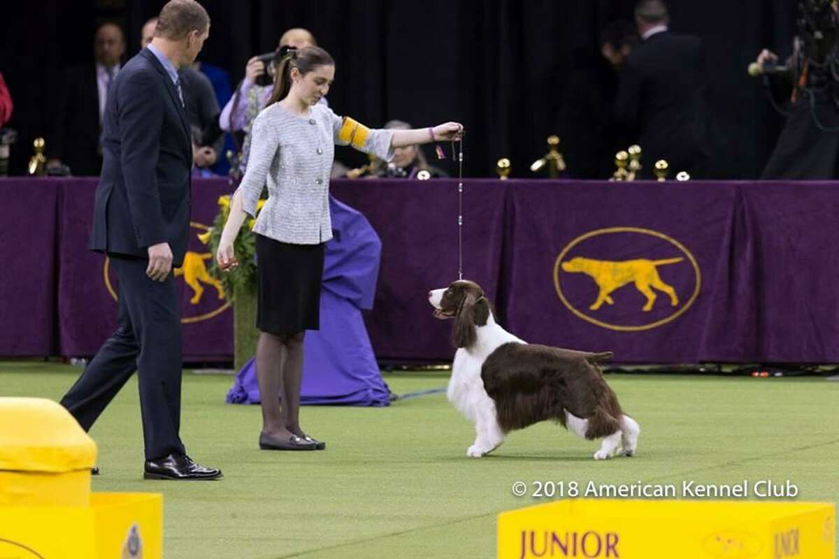 Sherman teen wins title in junior dog show