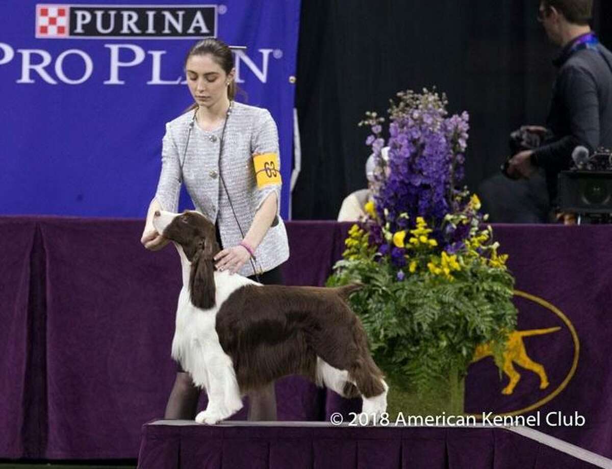 Sherman teen wins title in junior dog show