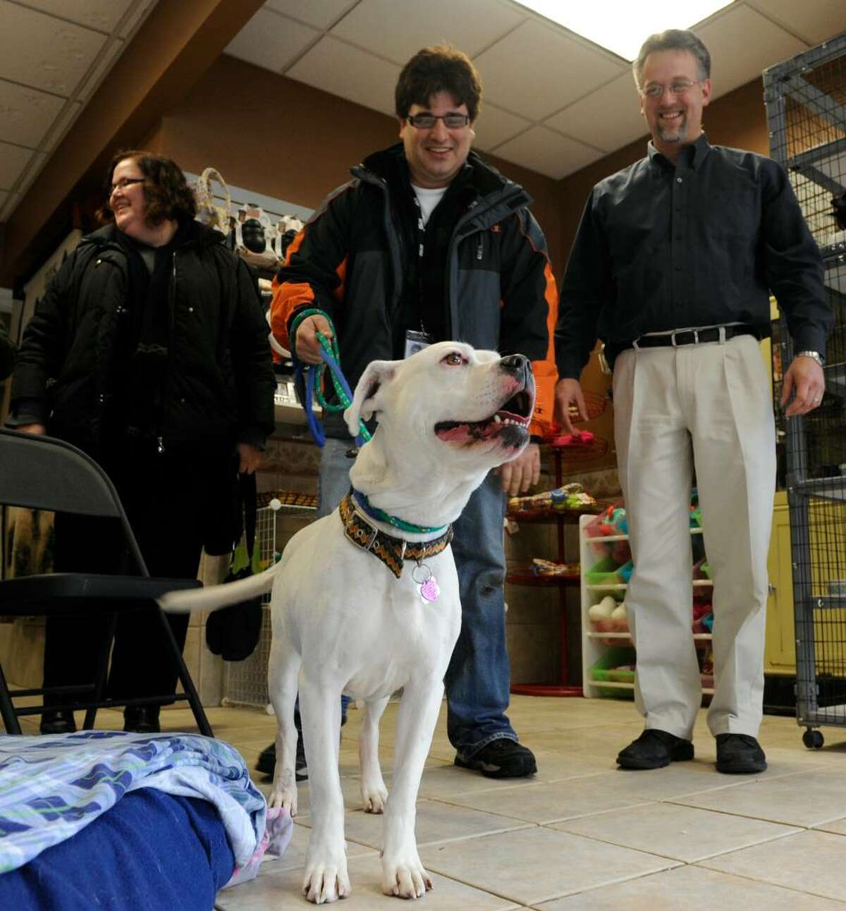 Luna, the American Bulldog Mix that has been missing from the Shaker Veterinary Hospital since Jan. 2, was found in good health today. Here, she greets reporters during a visit with her owners, Shelley and Ralph Rataul. (Skip Dickstein/ Times Union)