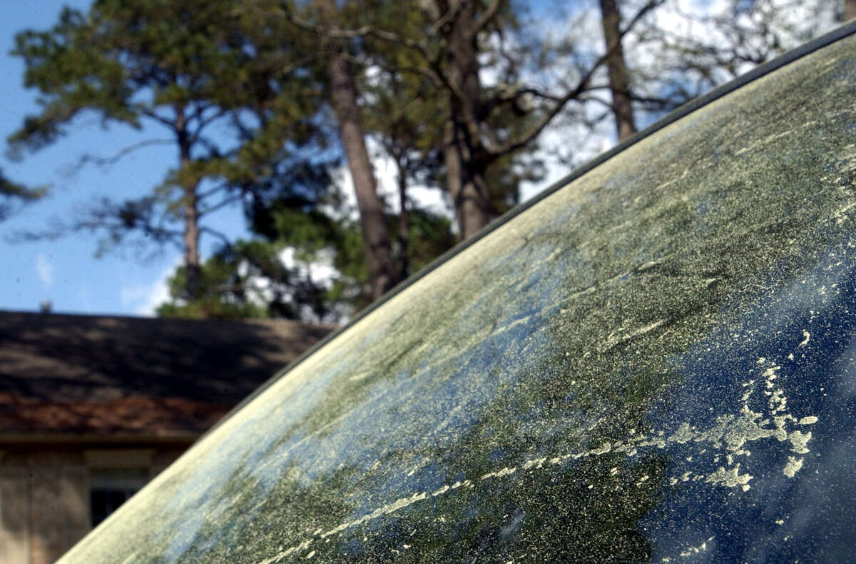 Pollen covers a car windshield in Kingwood.