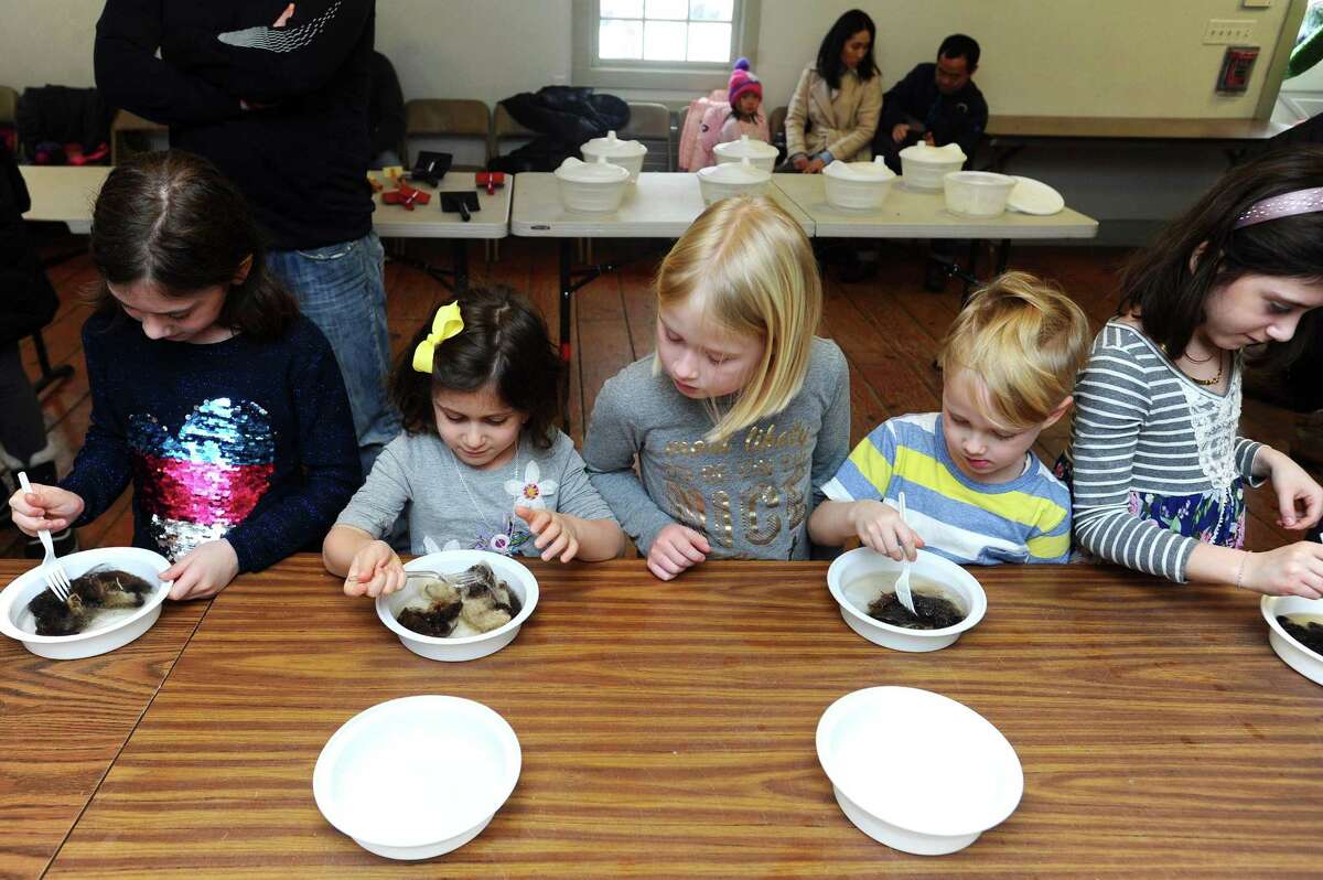 From left, eight-year-old Aylin Siman, five-year-old Tala Siman, seven-year-old Emilia Londrigan, five-year-old Henry Londrigan and eight-year-old Darya Siman put a tuft of sheeps wool into water to clean it during the winter break out day at Stamford Museum & Nature Center on Scofieldtown Road in Stamford, Conn. on Monday, Feb. 19, 2018. The kids then dried the wool and attempted to make it into a string of yarn as part of the woolly workshop program.