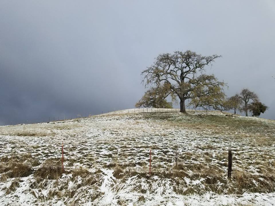 Here's how cold it got overnight in the San Francisco Bay Area