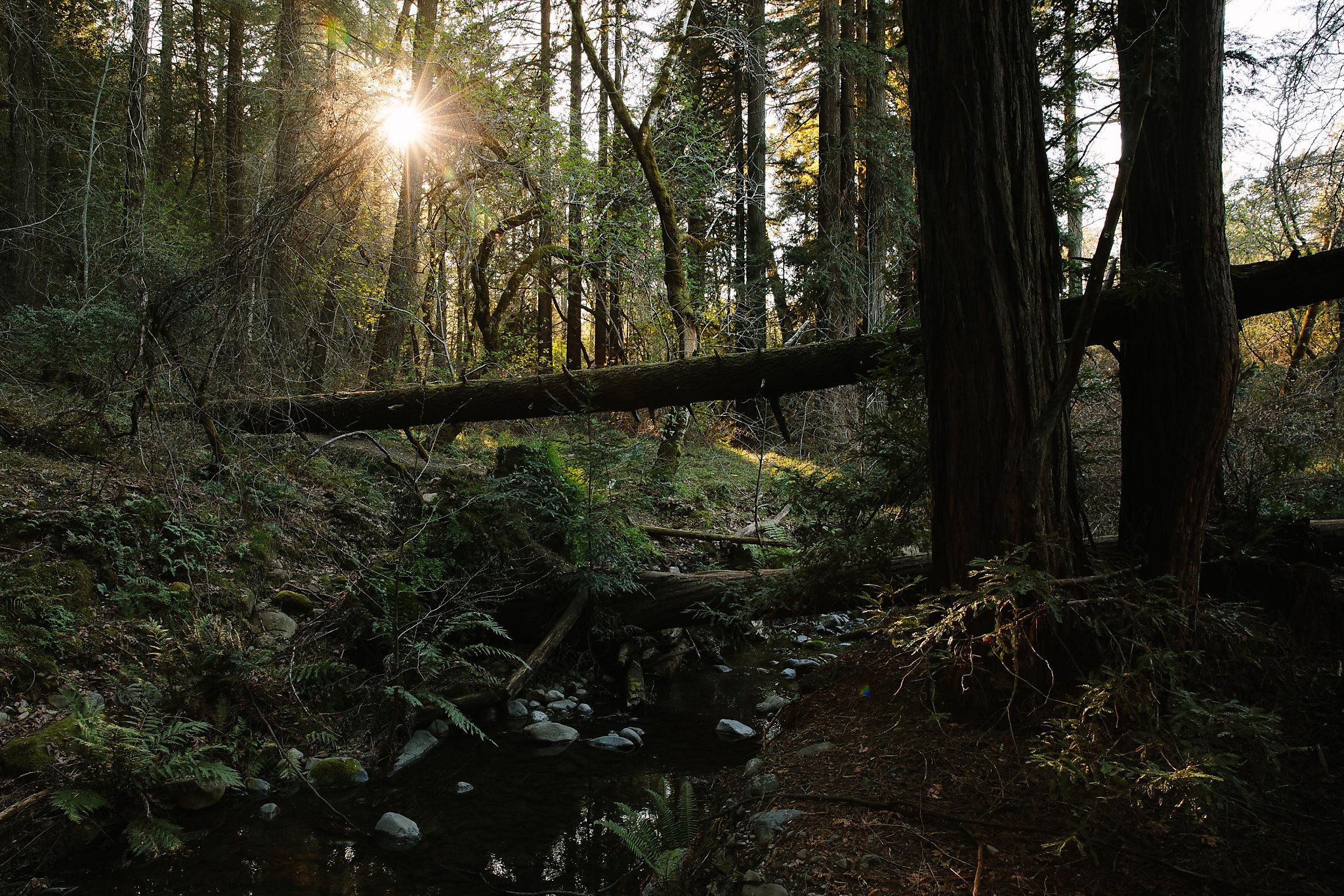 The 5 best hikes in Napa for wine lovers