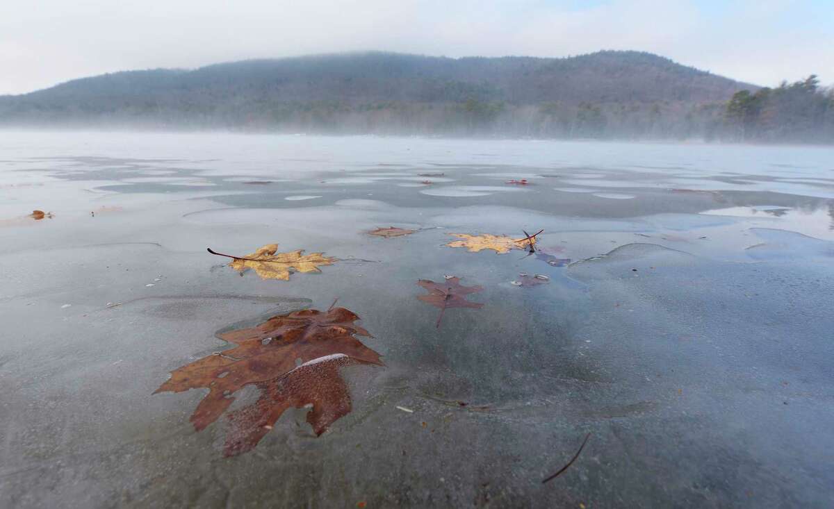 Leaves are frozen in the lake at Moreau Lake State Park.
