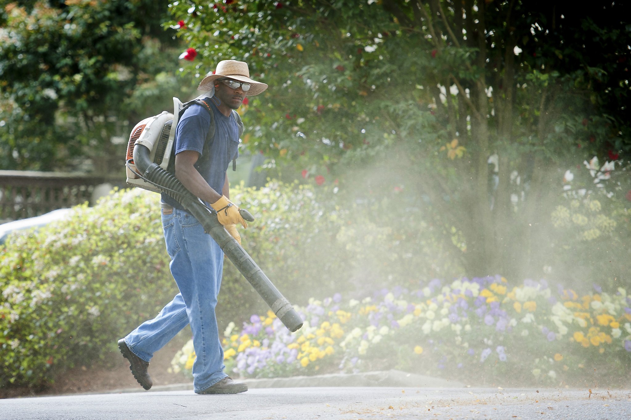 Be warned, Houston Tree pollen will be high this weekend