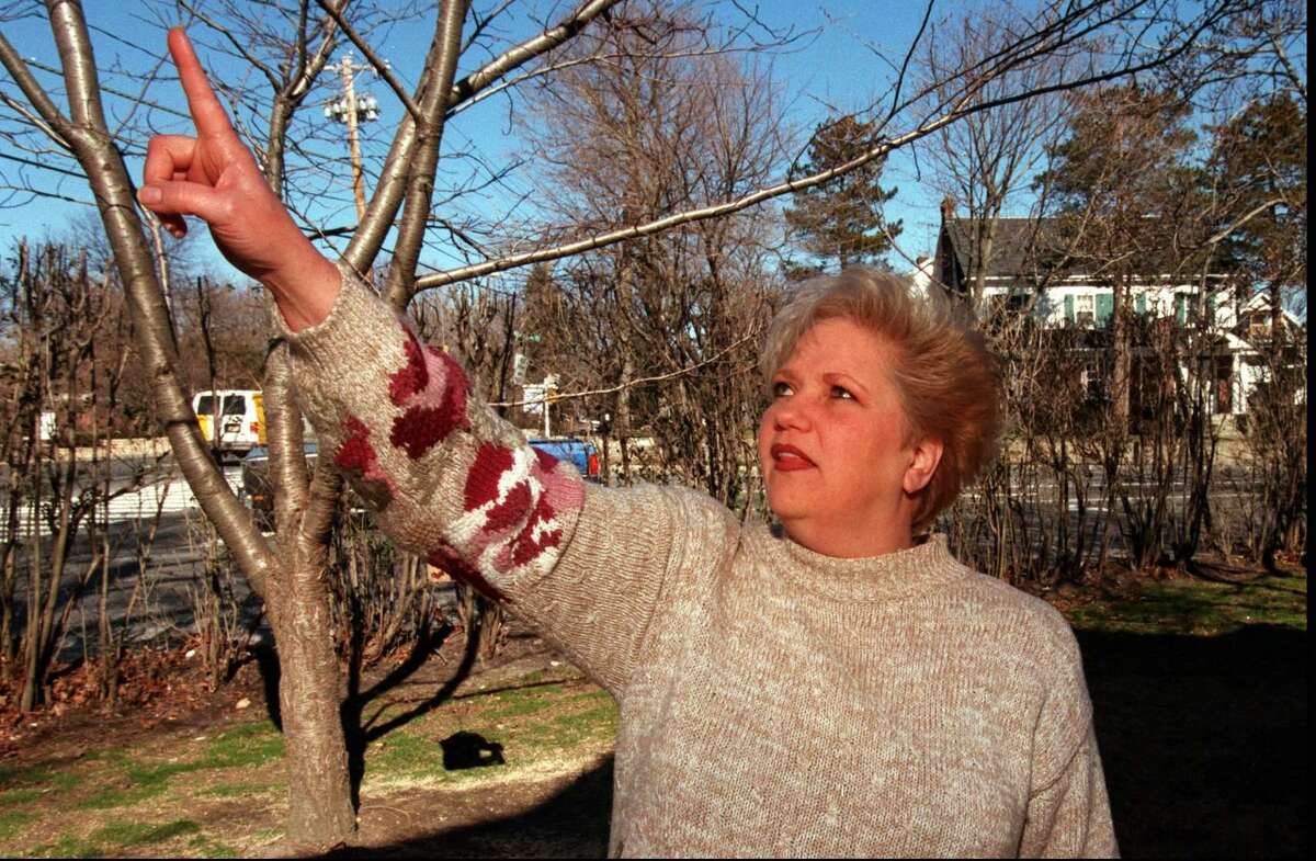 Debbi Dube points to the steady flow of birds, including hawks and falcons, outside her Rock Spring Road home in Stamford on Feb 26, 1998.