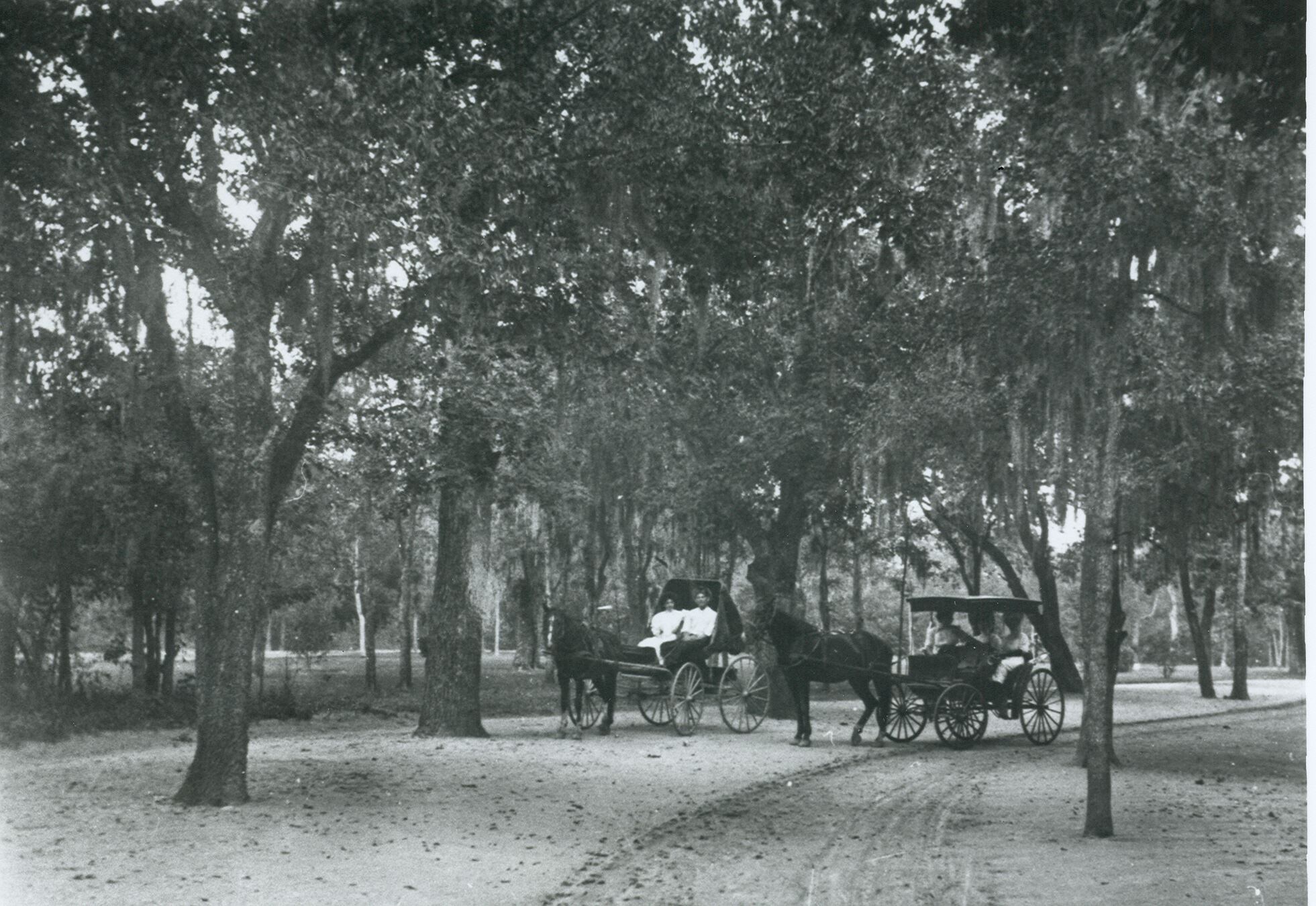 Vintage Photo Shows San Pedro Springs Park Once Home To Horse drawn Buggies Vintage Photo Shows San Pedro Springs Park Once Home To Horse drawn Buggies