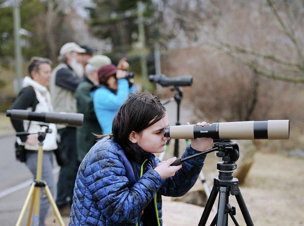 Kaela Knoor, 11, of Stamford, took part in the Great Backyard Bird Count, led by Audubon Naturalist and Environmental Educator Ted Gilman, at Grass Island in Greenwich, Conn., Friday, Feb. 16, 2018. Knoor said her favorite bird is the Red-tailed Hawk. The Great Backyard Bird Count is a world-wide event launched by the Cornell Lab of Ornithology and National Audubon Society in 1998, and lasts from Feb. 16 - 19. Birders collect data on birds counted in real-time, that is posted to the Great Backyard Bird Count web-site:http://gbbc.birdcount.org