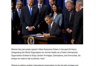 Commentary A New York Times Picture Worth A Thousand Lies