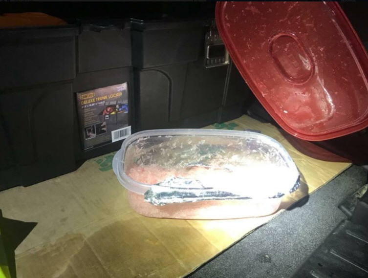 Man arrested after allegedly trying to pay wrecker driver with meth