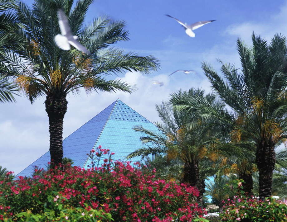 Moody Gardens Offers A Fun Filled Spring Break The Courier