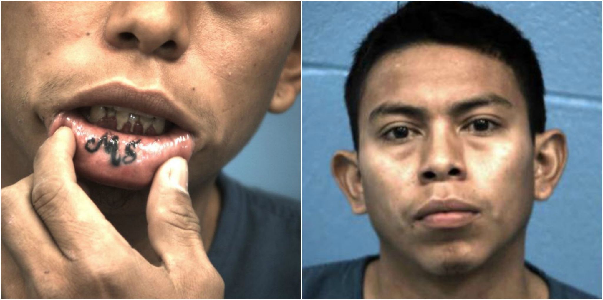 MS-13 gang members wanted in Houston arrested in Austin suburb on ...