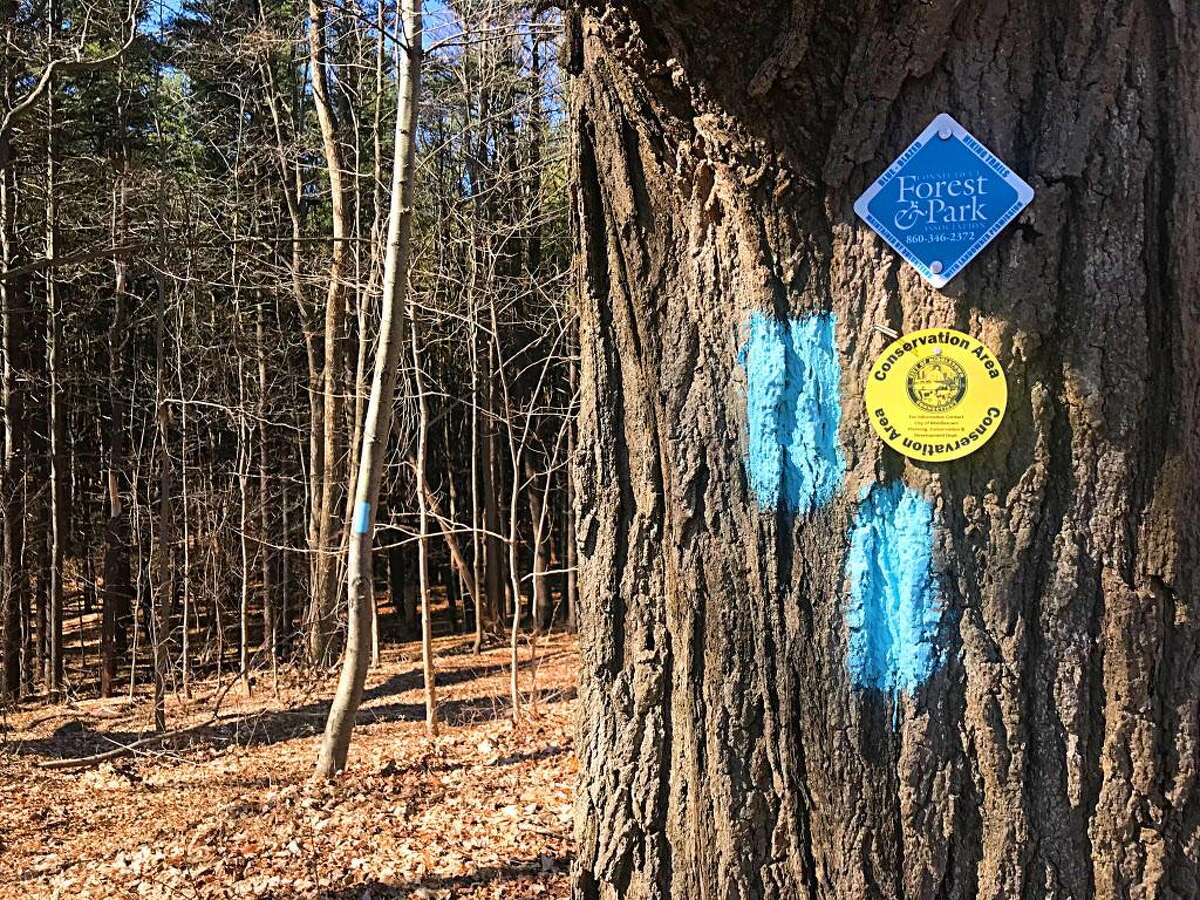Lost links to golf courses unearthed in Westfield section of Middletown