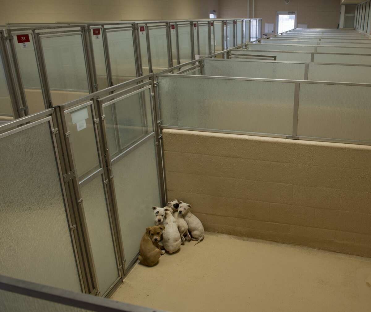 Midland city council is looking to expand the City of Midland Animal Shelter, seen 02/27/18. Tim Fischer/Reporter-Telegram