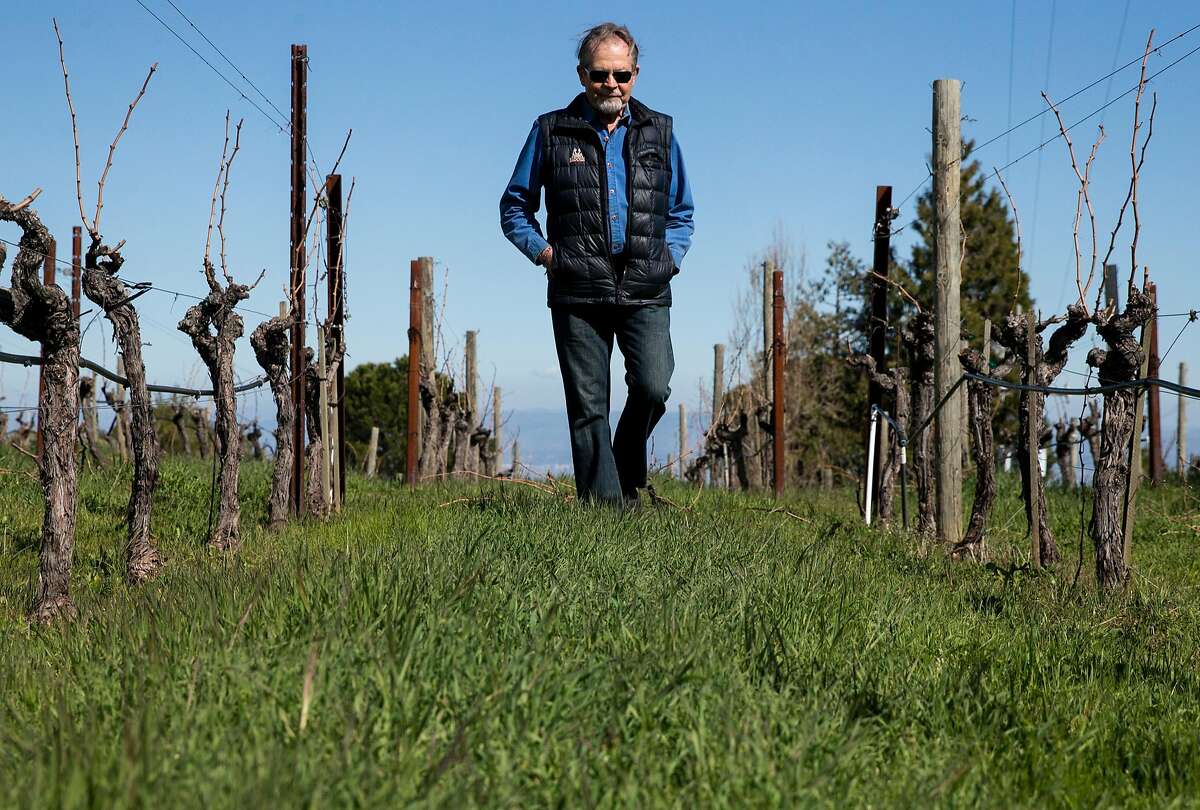 Winemaker Emeritus Paul Draper walks amongst grapevines at Ridge Monte Bello Winery Wednesday, Feb. 21, 2018 in Cupertino, Calif.