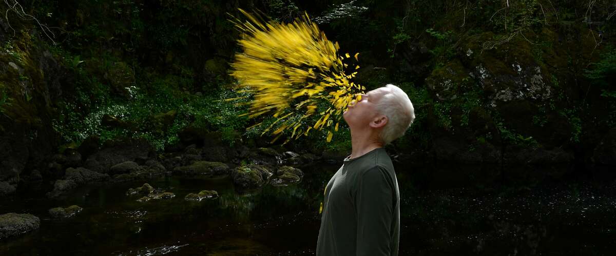 British artist Andy Goldsworthy is the subject of Thomas Riedelsheimer's documentary "Leaning Into the Wind" (2017), a followup to their 2001 documentary "Rivers and Tides."