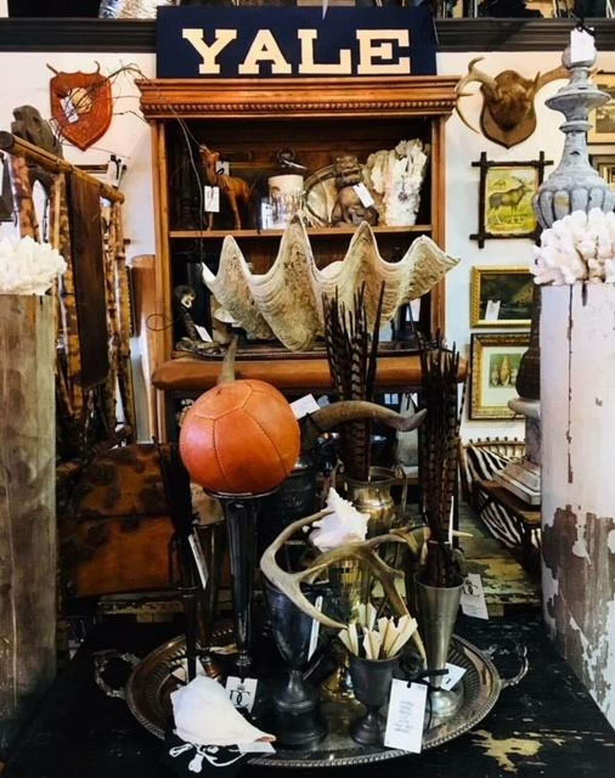 Antiques dealer has a taste for the eccentric