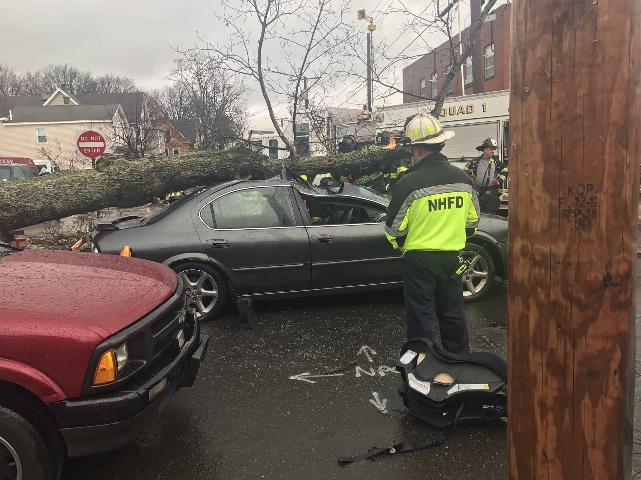 Tree falls on car in New Haven, trapping man inside