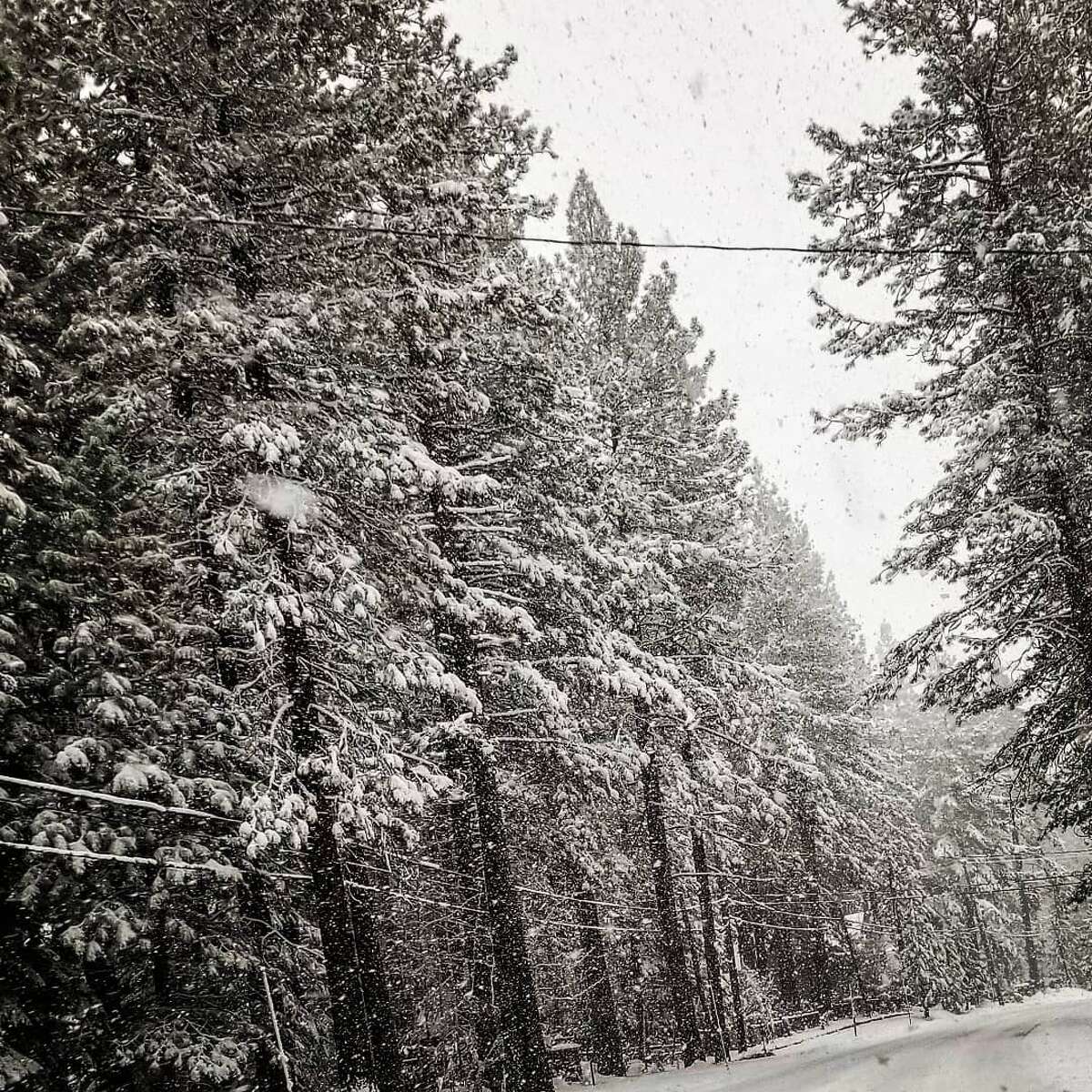 Tahoe Mountains Buried Under More Than 100 Inches Of Fresh Snow, More ...