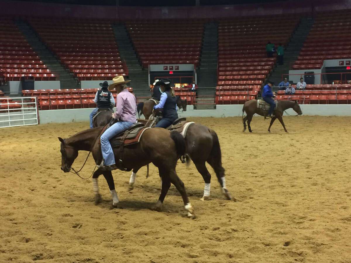Cutting horses at the Houston rodeo on Friday show off their moves and their ponytails.