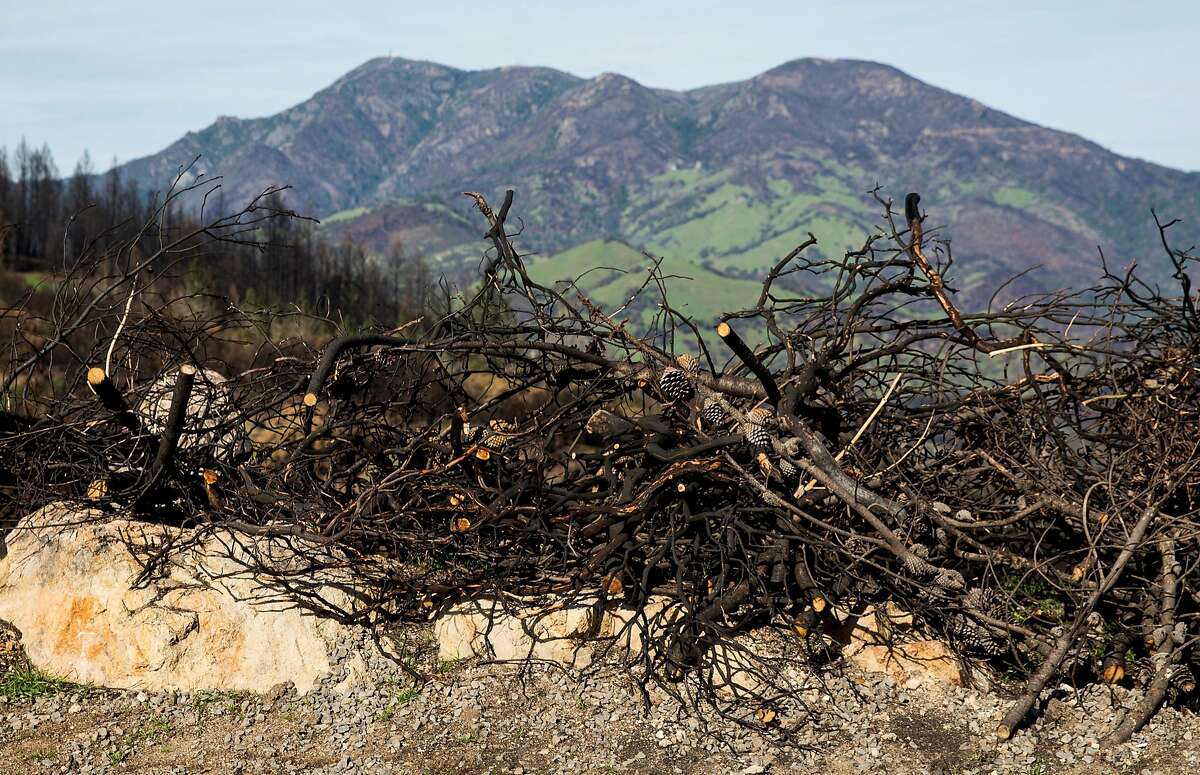 A pile of burnt sticks sits in the yard of Per Rosdahl's home Wednesday, Jan. 31, 2018 in Knights Valley, Calif. after it was destroyed by the Tubbs Fire in October 2017.