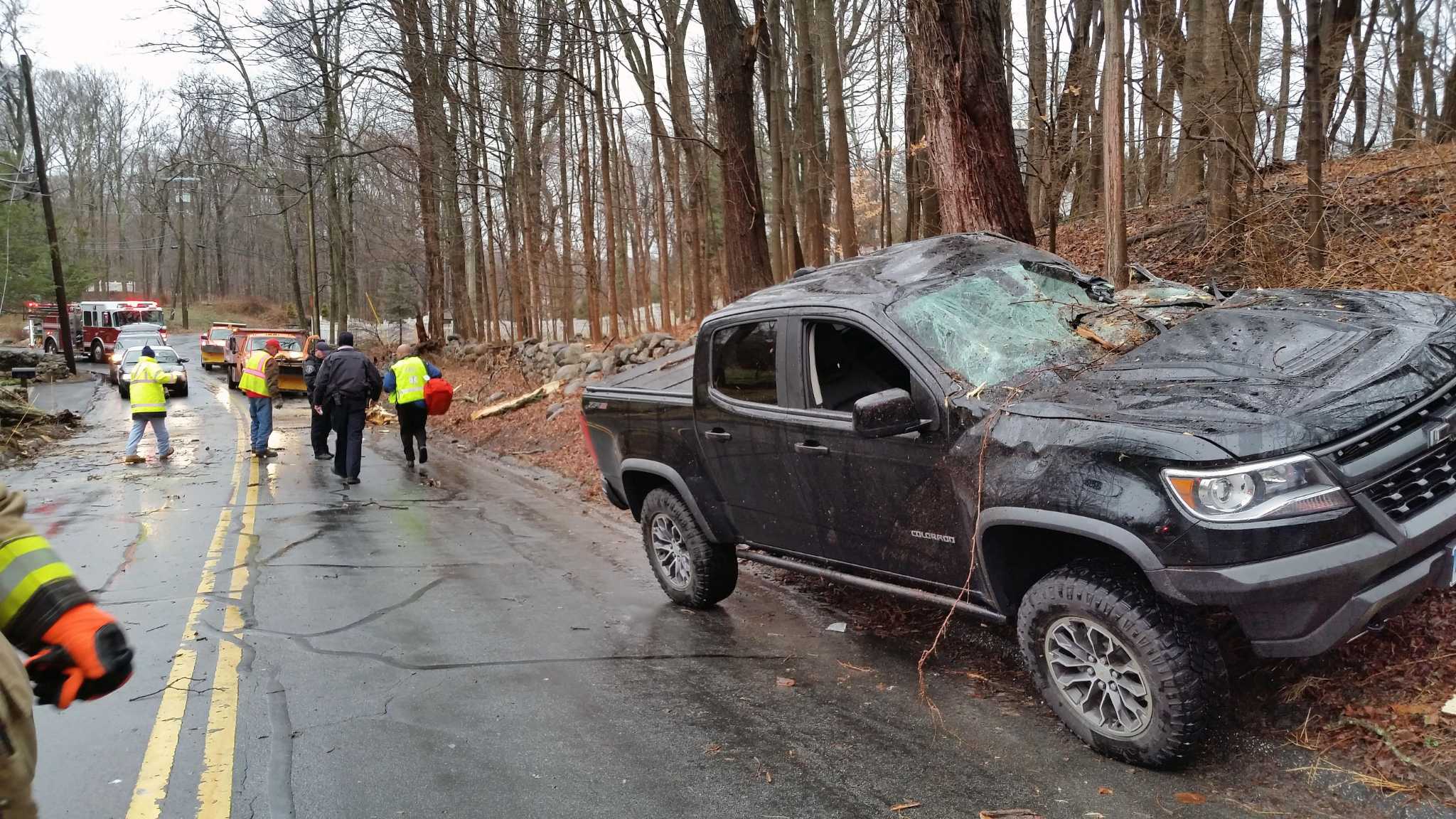 Tree falls on pickup truck, driver extricated in New Canaan