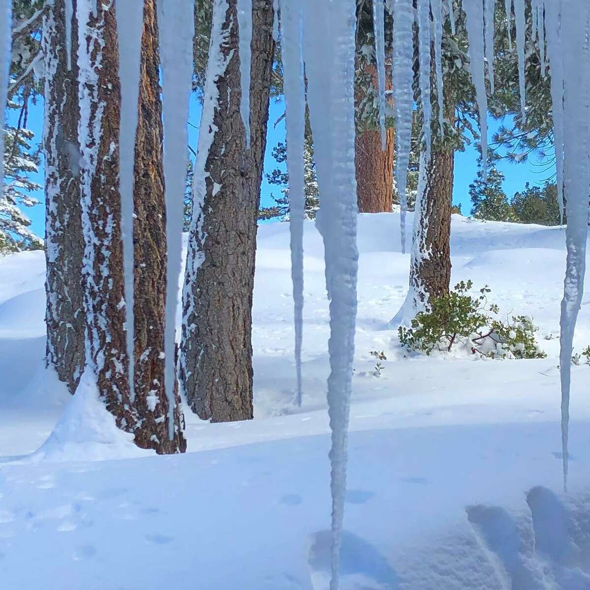 Tahoe stuns with its snowy beauty after big storm