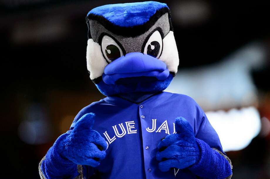 blue jays mascot plush