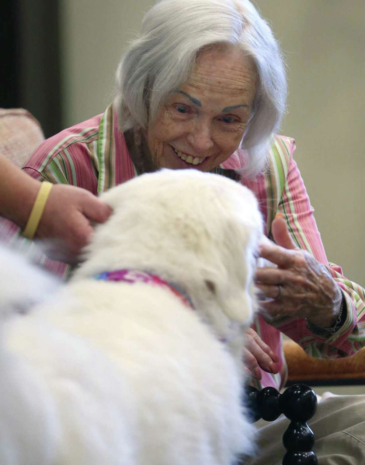 Mary Richter, pets Doc, a Great Pyrenees dog that helps provide companionship to residents in a San Antonio-area Franklin Park Memory Care facility, Wednesday, Feb. 21, 2018. Three San Antonio-area Franklin Park facilities use rescued Great Pyrenees dogs to improve the quality of life for their facilities' residents.