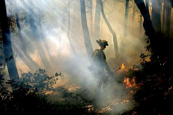 Keith Martinson with Cal Fire lays down fire from a drip torch during a control burn in the Jenner Headlands Preserve to burn the dry vegetation that covers the forrest floor, above the town of Duncans Mills, Calif., on Tues. Feb. 27, 2018.