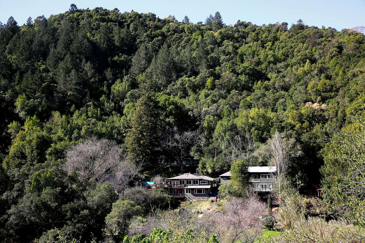 2018年2月26日星期一，加利福尼亚州希尔兹堡外，惠誉山社区的房屋被茂密的植被所包围。