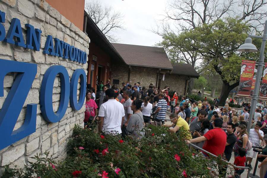 Urban legend or the real deal? San Antonio Zoo unveils new Chupacabra