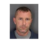 Glens Falls man faces 42 charges in animal cruelty case