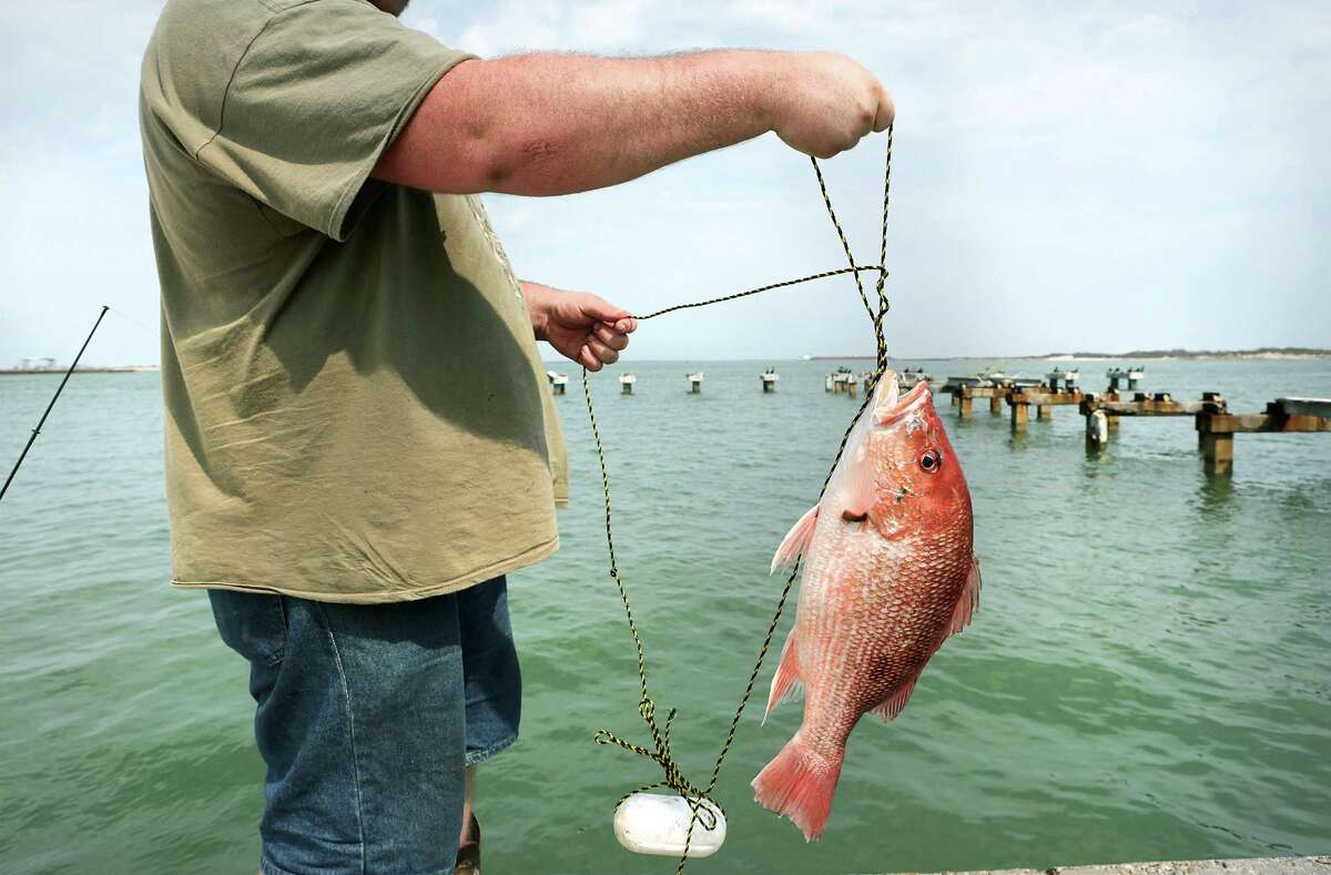 The Texas Parks and Wildlife Department will close red snapper fishing in state waters on November 15. In January 2022, TPWD will reopen red snapper fishing in state waters while federal water will remain closed until the summer.