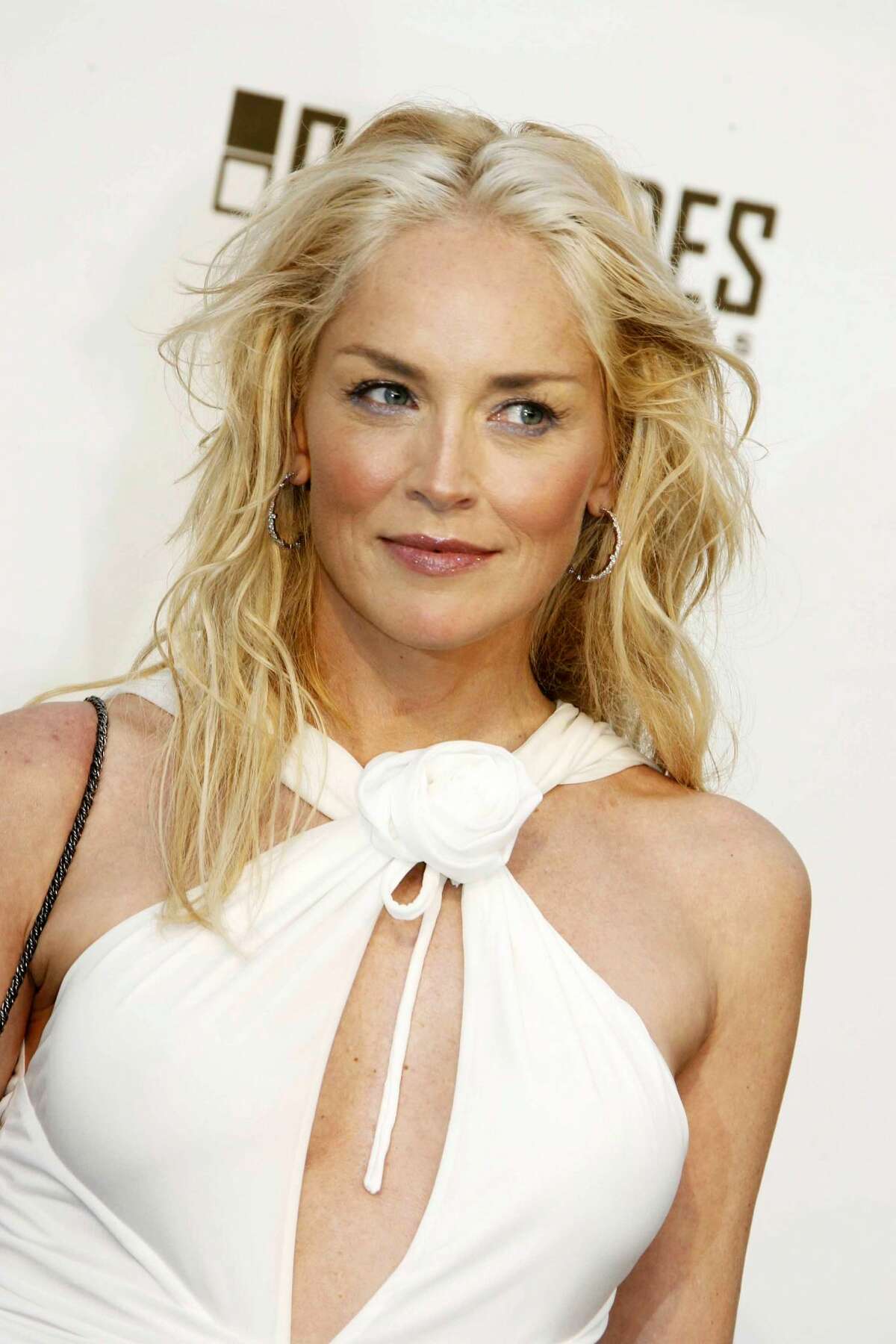 Sharon Stone turns 60: Then and now