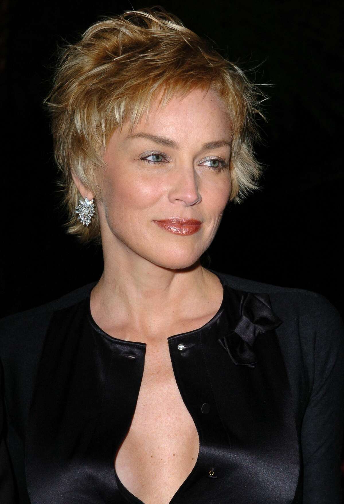 Sharon Stone turns 60: Then and now