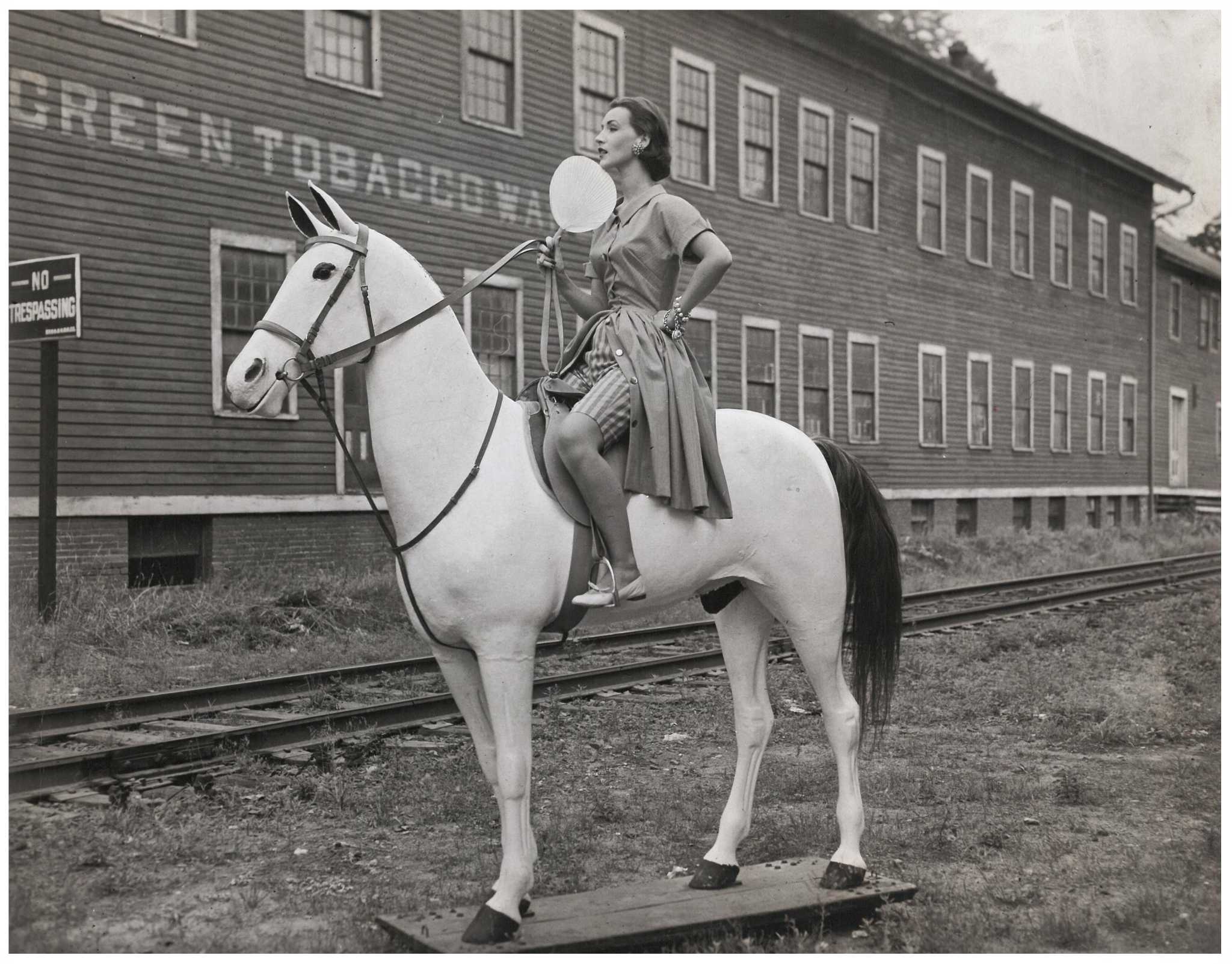 Historic New Milford horse celebrated