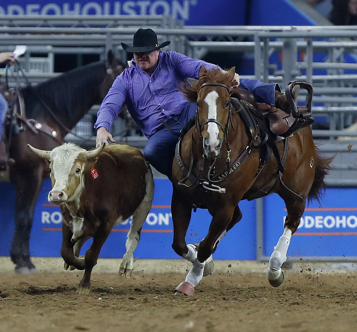 Stockton Graves jumps off his horse onto a steer during the Steer Wrestling competition at the Houston Livestock Show and Rodeo at NRG Stadium, Saturday, March 10, 2018, in Houston. ( Karen Warren / Houston Chronicle )