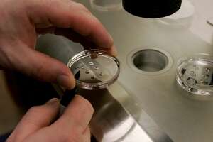 Nitrogen failure at SF fertility clinic; damage to frozen eggs unknown - Photo