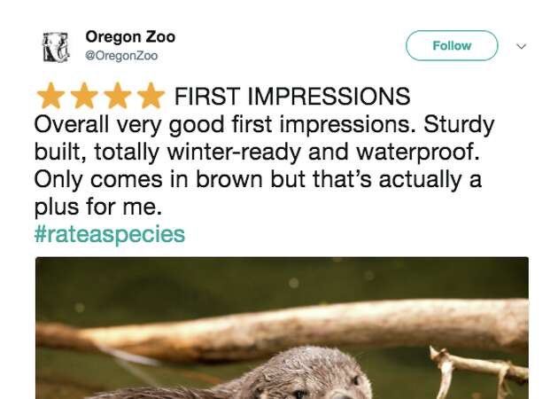 Zoos and aquariums give starred reviews of animals on Twitter and it's the best thing this weekend