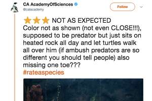 Zoos and aquariums give starred reviews of animals on Twitter and it's the best thing this weekend - Photo