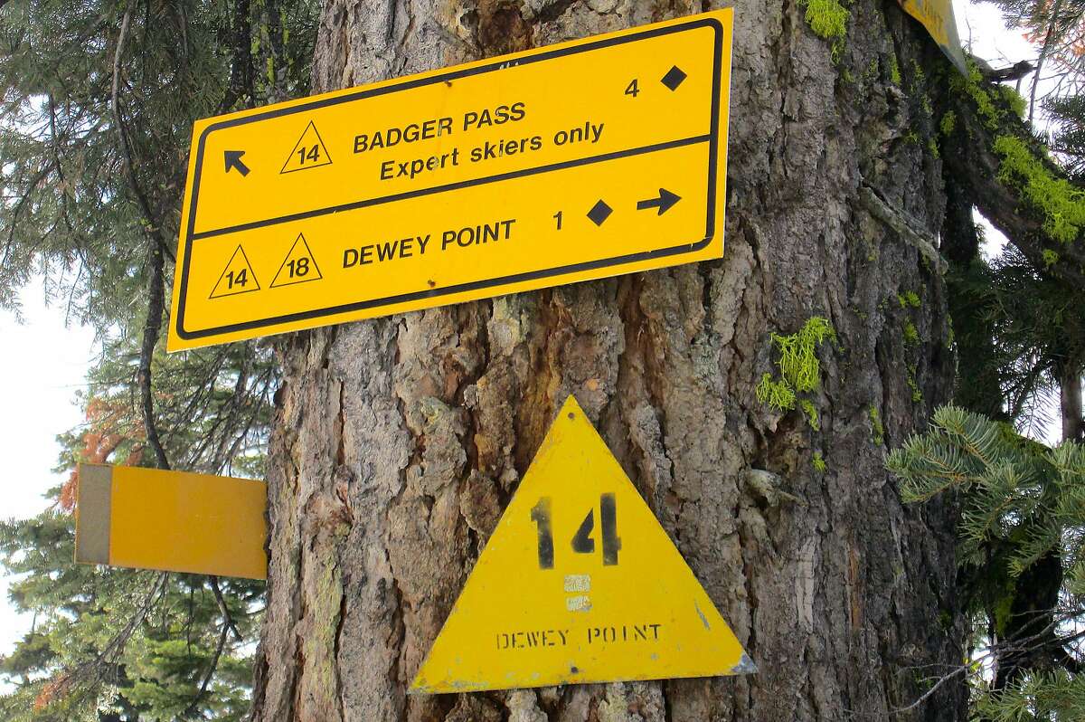 Yellow markers, triangle or rectangles, some with the number 18, high on the tree trunks above the snow, mark the way from Glacier Point Road across Yosemite's backcountry snow wildlands to Dewey Point overlooking El Capitan and Yosemite Valley.