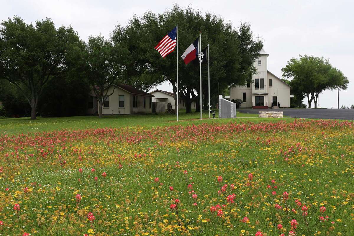 Calvin Finch Plant wildflower seed now for spring and summer blooms