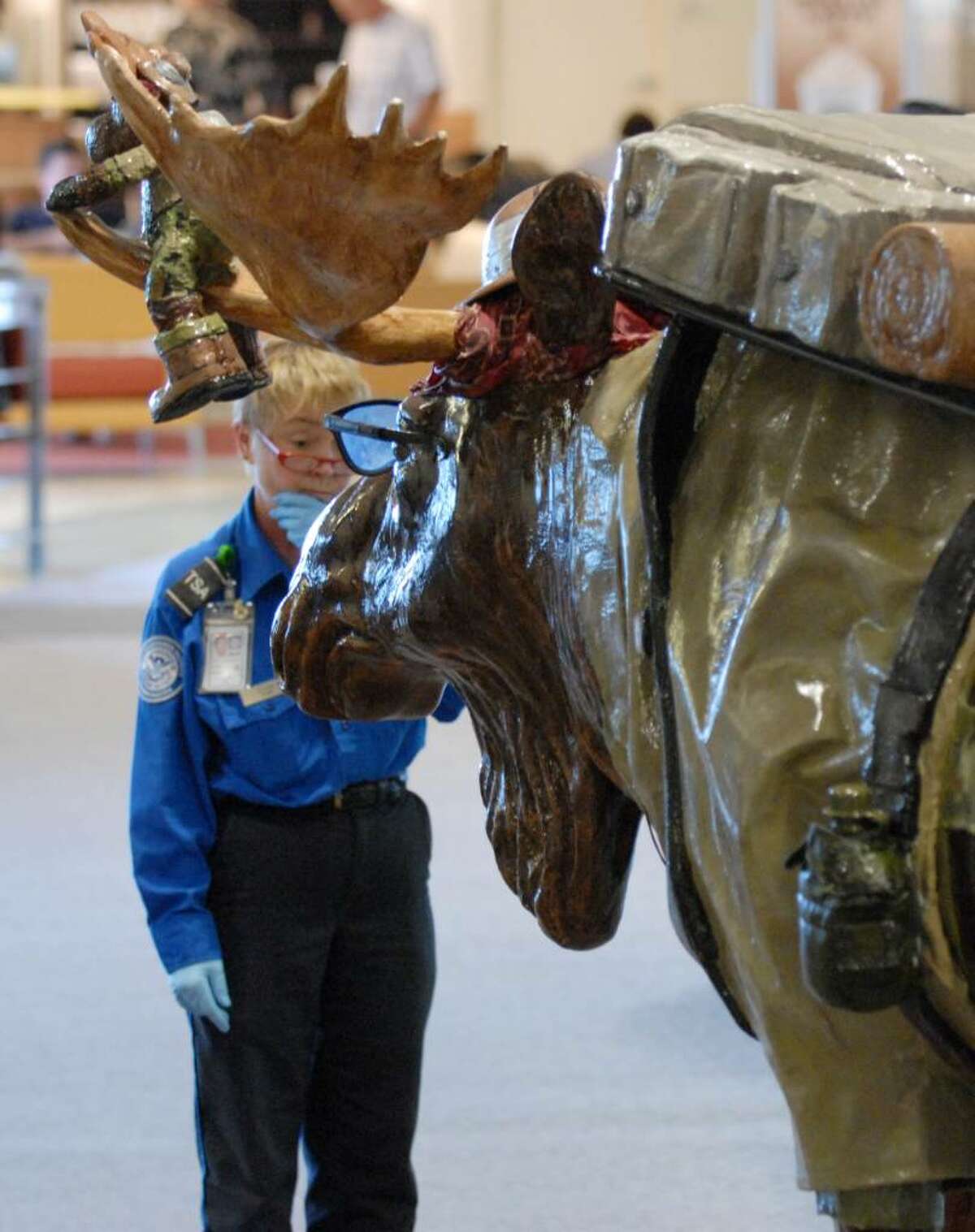 "On The Trail Again," a seven-foot-tall fiberglass moose created by artists Bill Brassard and Paul Hilliard, is screened by TSA personnel at Albany international Airport, Monday morning Sept. 28, 2009. The moose is on display at the airport to promote Moosefest 2009, which runs through October in Bennington VT. (Will Waldron / Times Union)