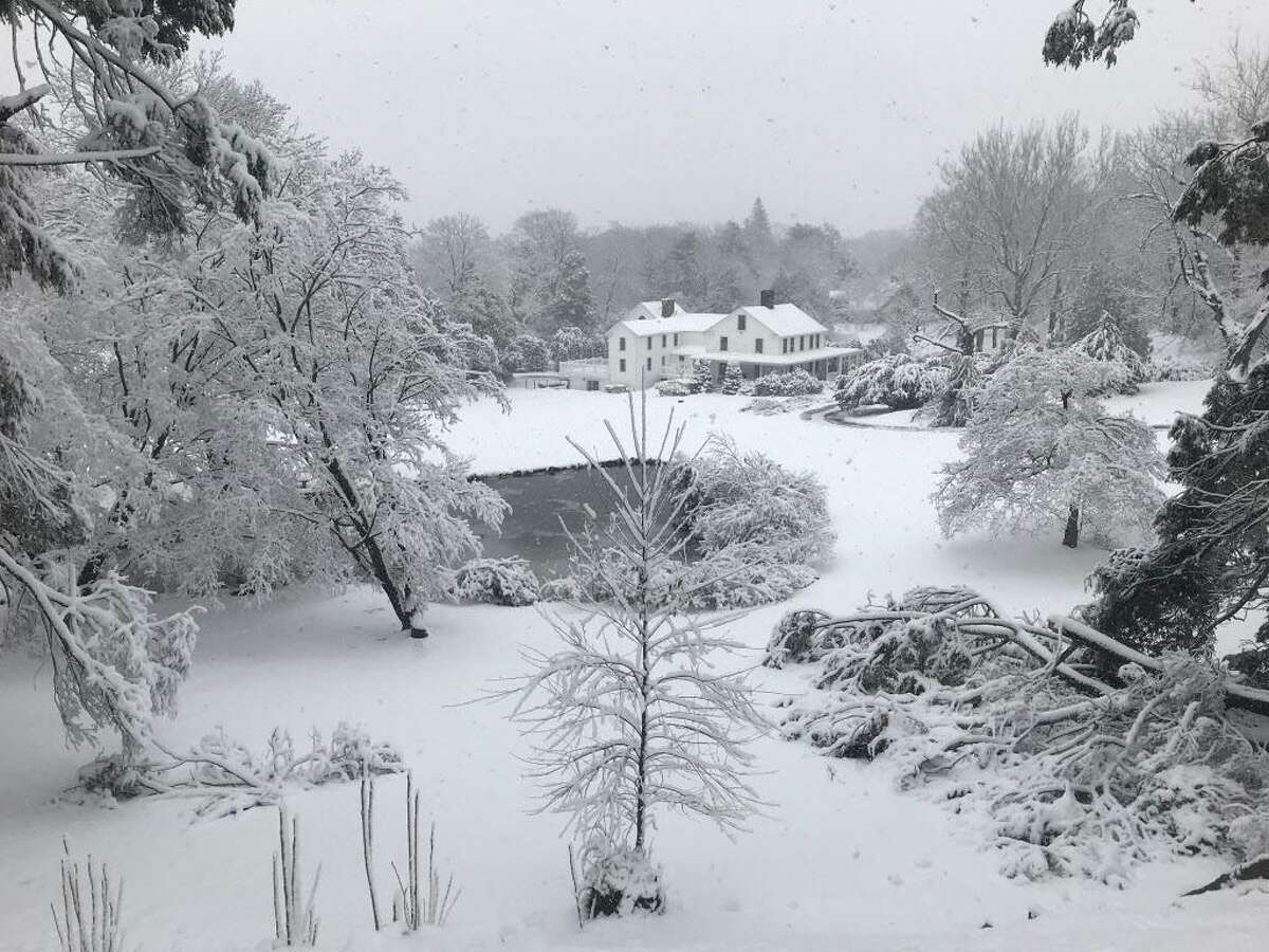 A view of the heart-shaped pond in the backyard of a home on Walkley Road in Haddam Tuesday afternoon was pretty as a postcard. Snowfall in the town was less heavy than in Middletown.