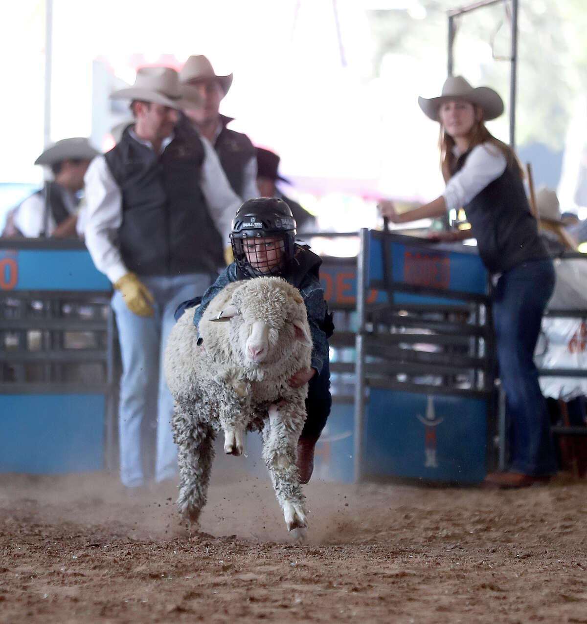 Mutton Bustin’ is baack at the Houston Rodeo, registration now open