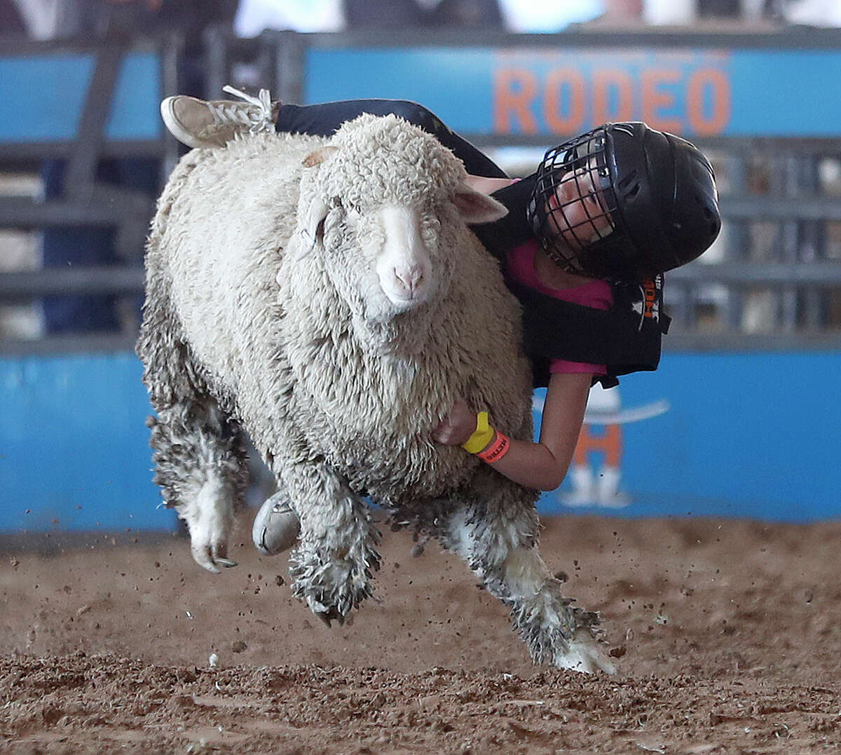 Mutton Bustin’ is baa-ck at the Houston Rodeo, registration now open