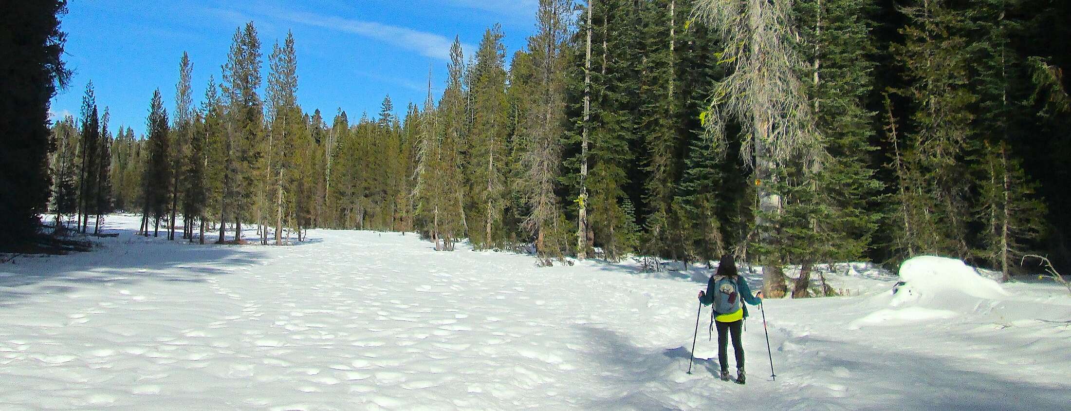 The best places to snowshoe and rent a cabin in Tahoe, Yosemite and Shasta